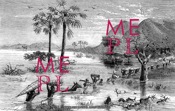 : H.M. Stanley's Expedition crossing the Makata Swamp, Central : H.M. Stanley's Expedition crossing the Makata Swamp, Central