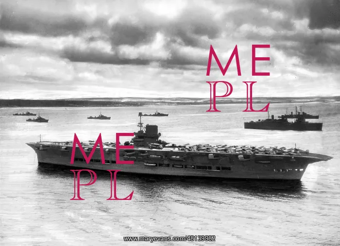 : HMS Ark Royal : HMS Ark Royal