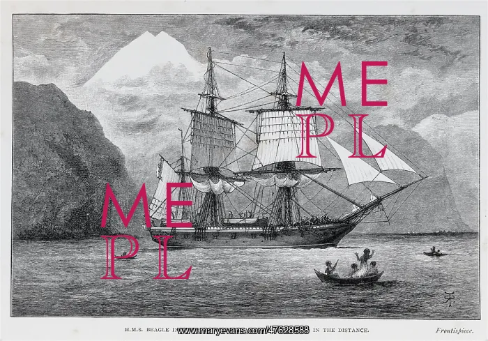 : HMS Beagle : HMS Beagle