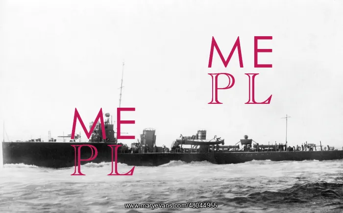: HMS Beaver, British destroyer at sea, WW1 : HMS Beaver, British destroyer at sea, WW1