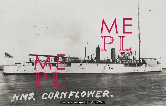 : HMS Cornflower, British minesweeping sloop : HMS Cornflower, British minesweeping sloop