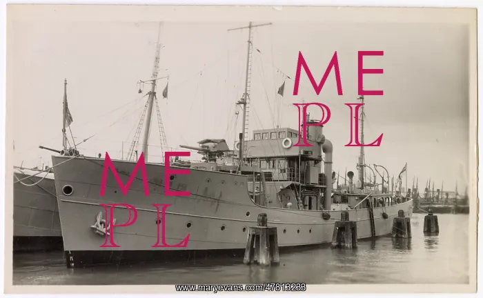 : HMS Mastiff, British Dog Class minesweeper : HMS Mastiff, British Dog Class minesweeper