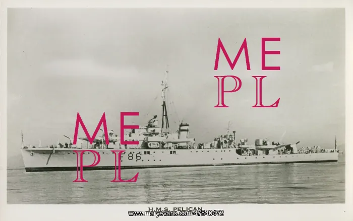 : H.M.S. Pelican (F86) - Egret-class sloop : H.M.S. Pelican (F86) - Egret-class sloop