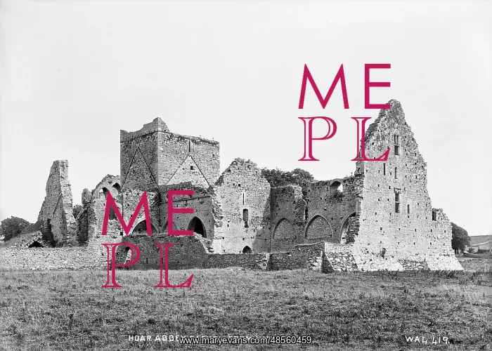 : Hoar Abbey, Cashel, from NW : Hoar Abbey, Cashel, from NW