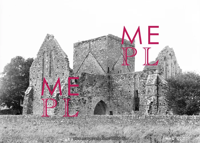 : Hoar Abbey, Cashel, from SW : Hoar Abbey, Cashel, from SW