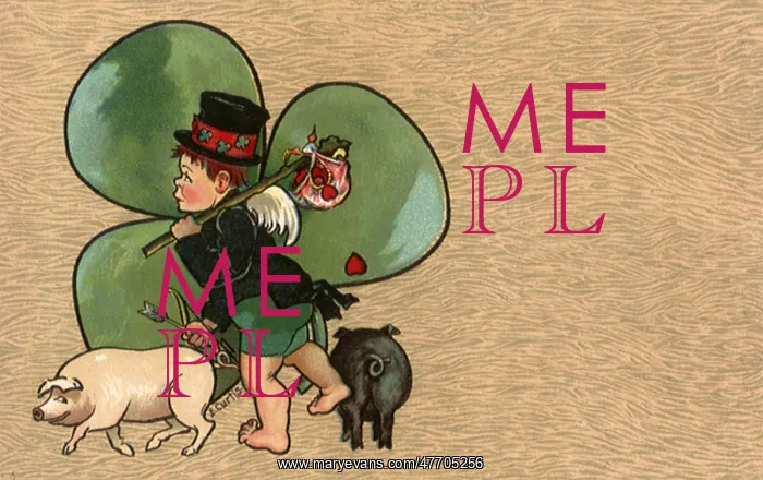 : Hobo, Clover, Pigs : Hobo, Clover, Pigs