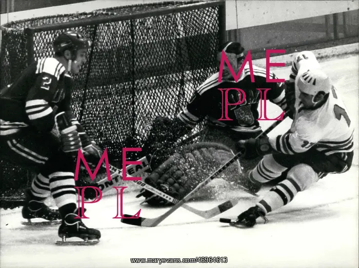 : Hockey to be Categorized : Hockey to be Categorized