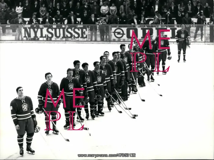 : Hockey to be Categorized : Hockey to be Categorized