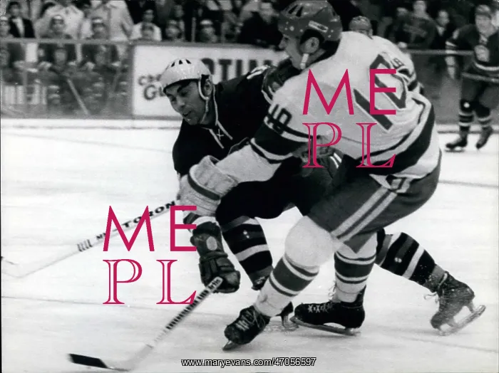 : Hockey to be Categorized : Hockey to be Categorized