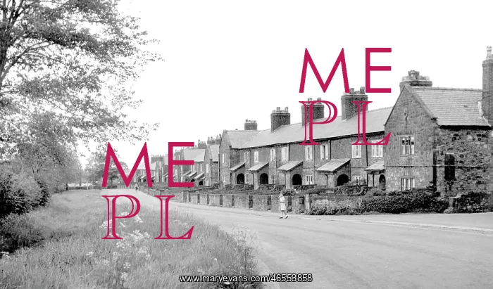  : Hockley, Coppice Road c1960