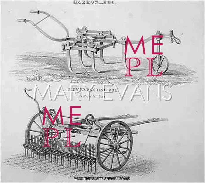 : TWO HOES 1850 : TWO HOES 1850