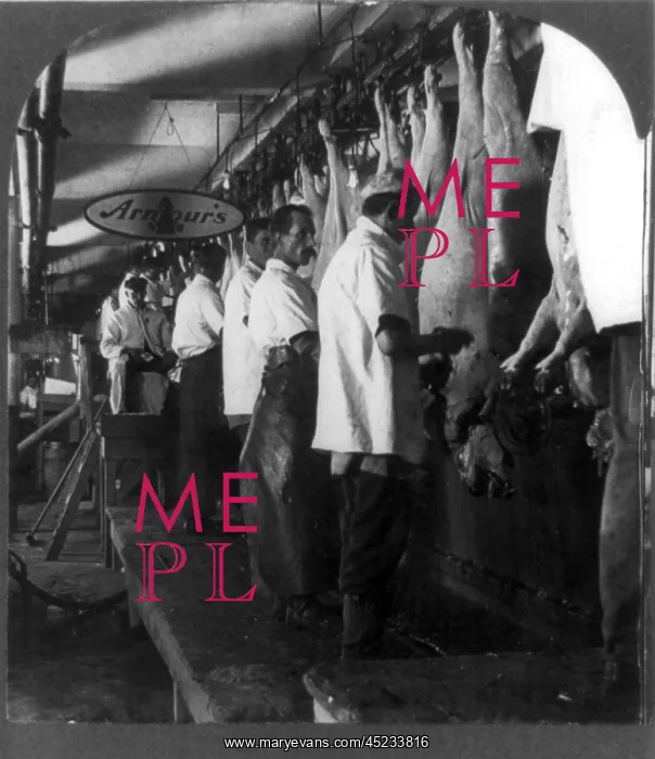 : Hog scraping rail. Meatpacking plant worker's ? : Hog scraping rail. Meatpacking plant worker's ?