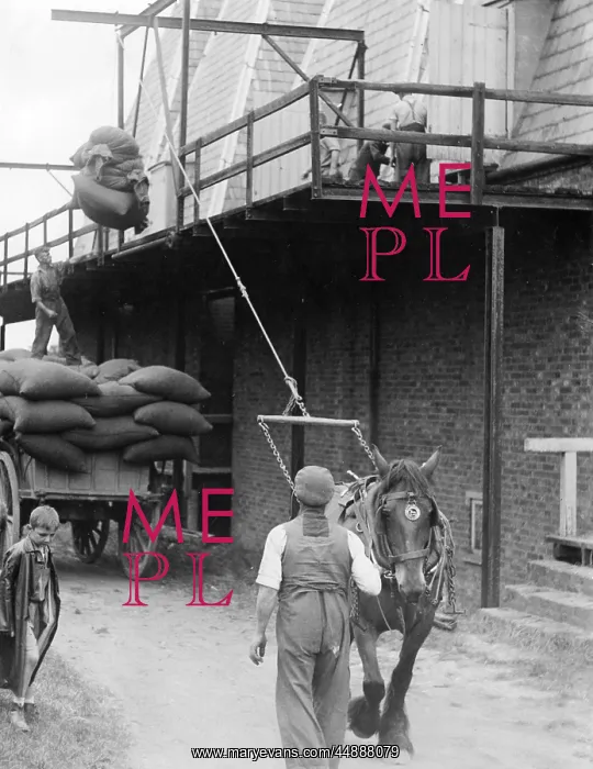 : HOISTING HOPS : HOISTING HOPS