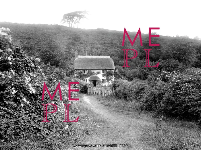  : Holford, Cottage in Combe 1929