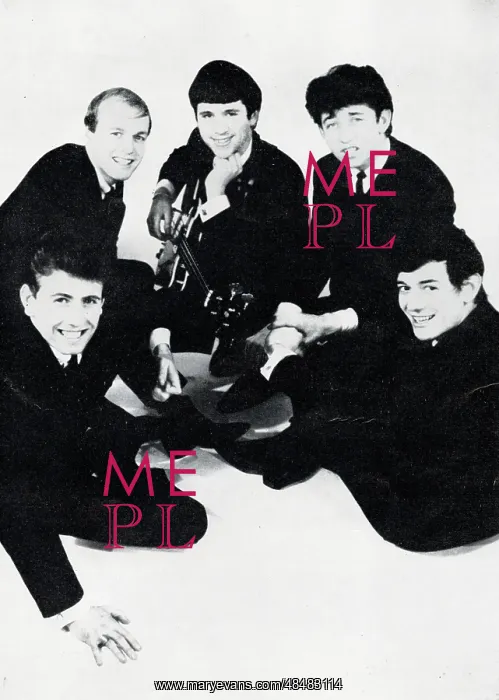  : The Hollies, British pop group