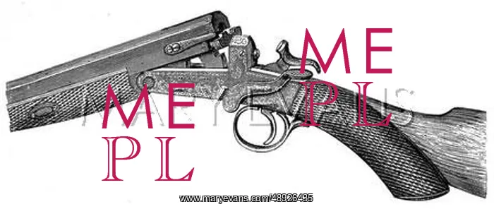 : Holloway Rifle, 1880 : Holloway Rifle, 1880