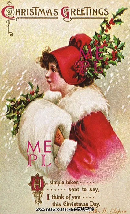  : Holly Bonnet