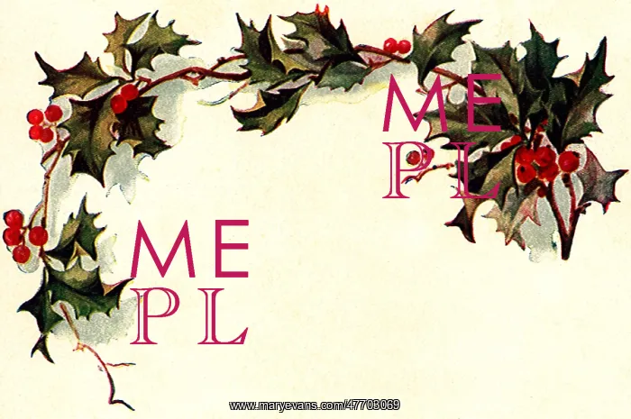  : Holly Border