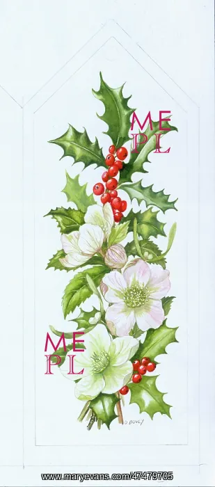  : Holly and Christmas Roses