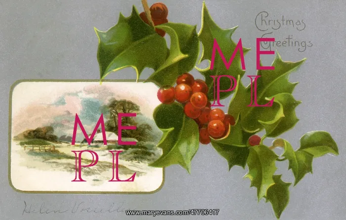  : Holly and Country Scene