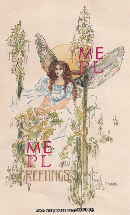  : Holly fairy on a greetings card