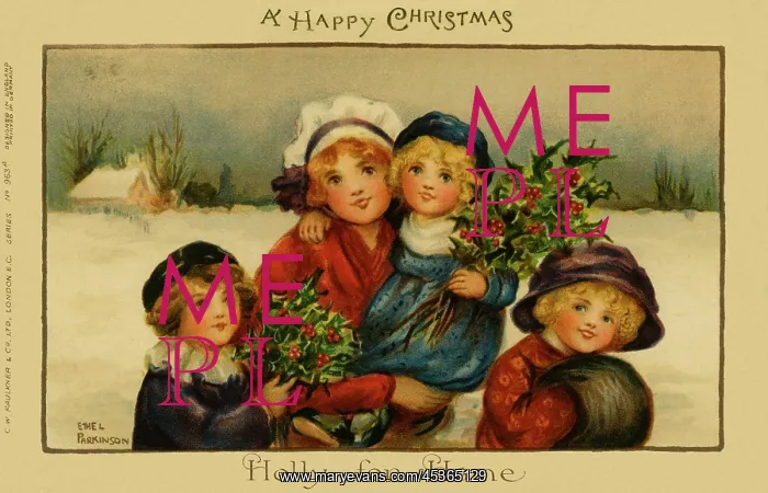 : Holly for home : Holly for home