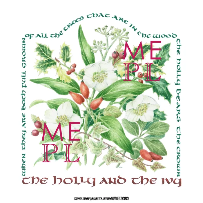 : The Holly and The Ivy : The Holly and The Ivy