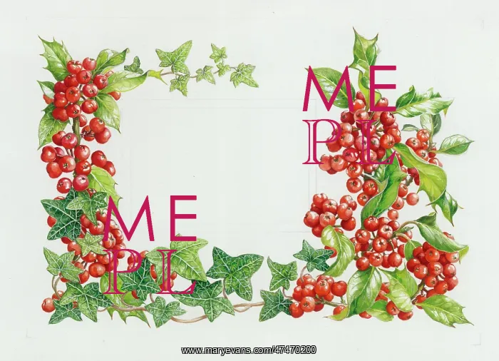  : Holly and Ivy border