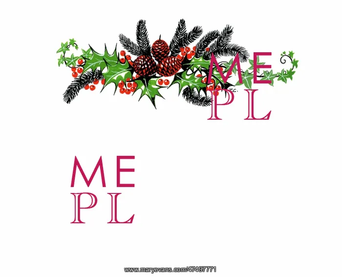: Holly, ivy and fir cones : Holly, ivy and fir cones