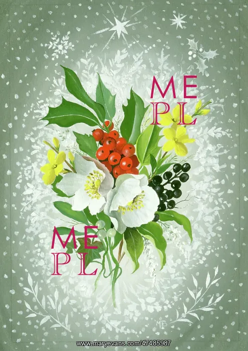  : Holly, Jessamine, etc