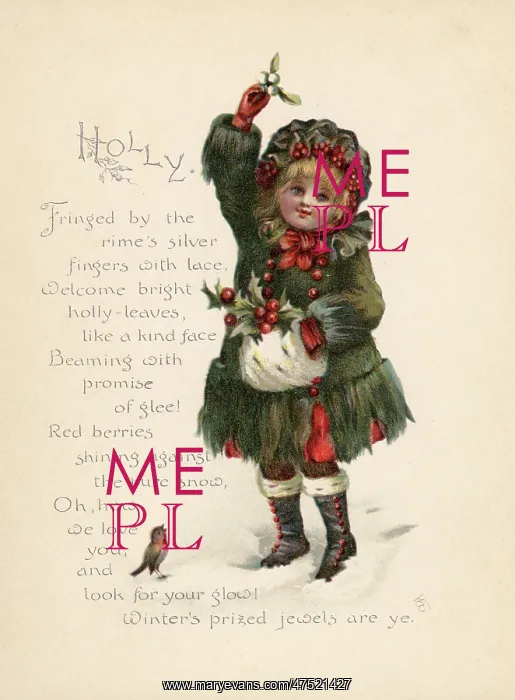  : Holly  /  Language of Flowers