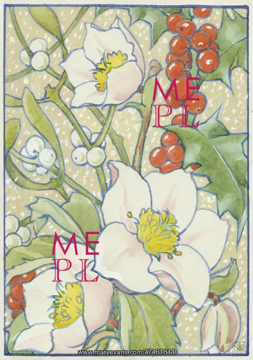: Holly and mistletoe Christmas card : Holly and mistletoe Christmas card