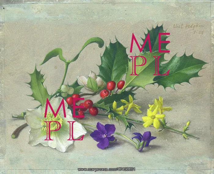: Holly, mistletoe, Christmas roses etc : Holly, mistletoe, Christmas roses etc