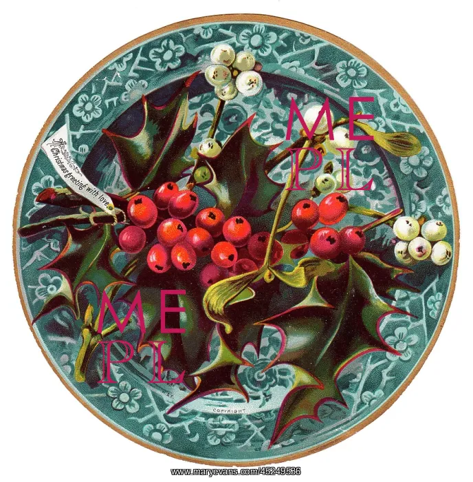 : Holly and mistletoe on a circular Christmas card : Holly and mistletoe on a circular Christmas card