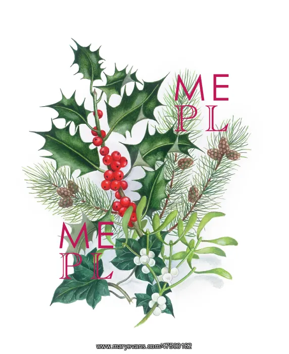  : Holly, Mistletoe, Ivy and Fir