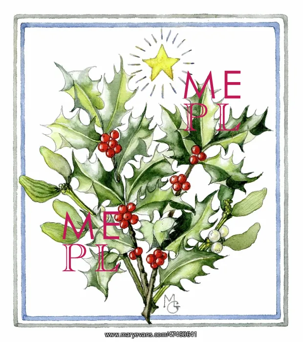  : Holly and Mistletoe with star above