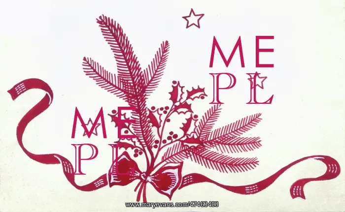  : Holly and pine bunch with ribbon and stars