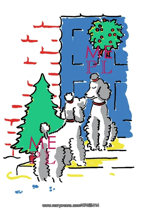 : Under the Holly ? two poodles : Under the Holly ? two poodles