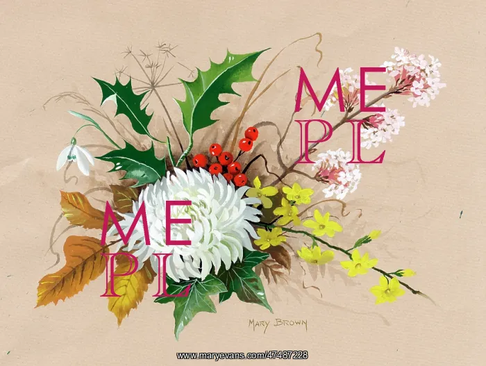  : Holly, snowdrop, chrysanthenum etc