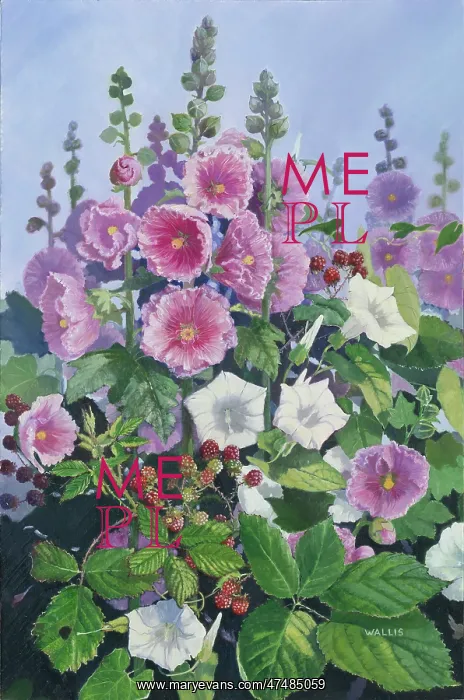  : Hollyhocks, Blackberries and Convolvulus
