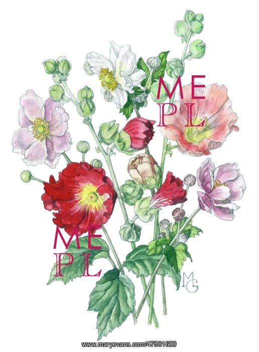  : Hollyhocks and Japanese Anemones