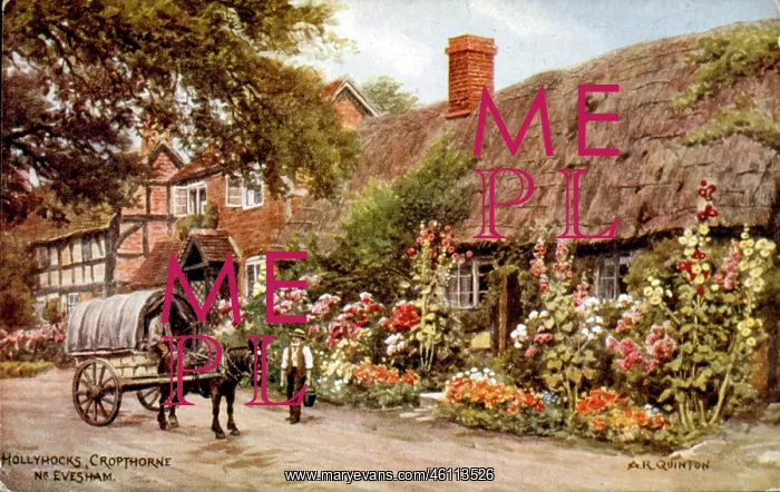 : Hollyhocks outside a cottage, Cropthorne, Worcestershire : Hollyhocks outside a cottage, Cropthorne, Worcestershire