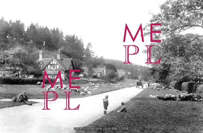  : Holmbury St Mary, Post Office Corner 1906