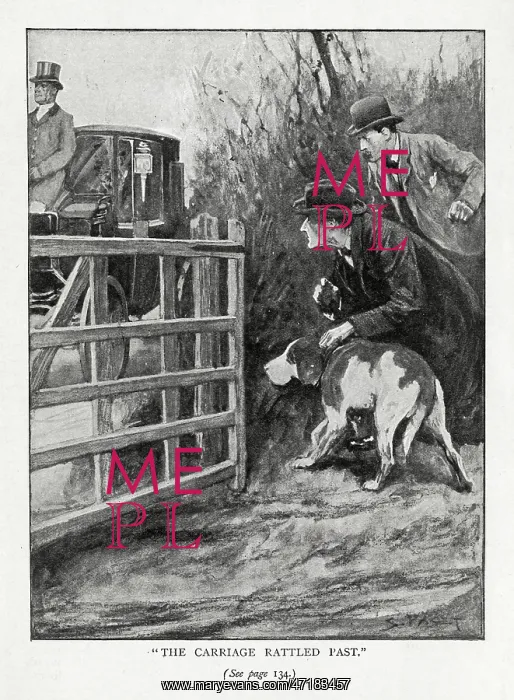  : HOLMES / WATSON & DOG / C19