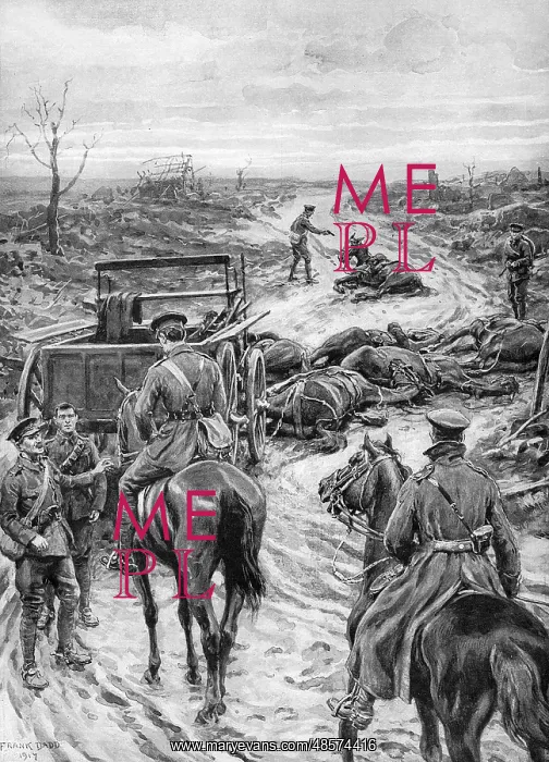 : A holocaust for horses, 1917 : A holocaust for horses, 1917