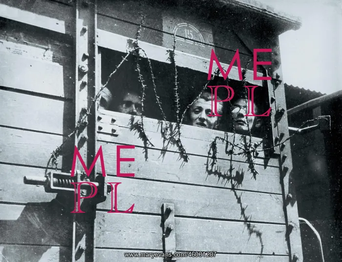: Holocaust-transport to a concentration camp : Holocaust-transport to a concentration camp