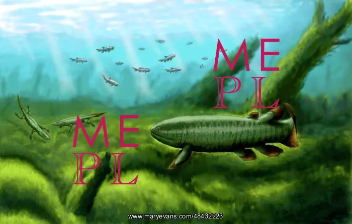 : Holoptychius, Tulerpeton and Moythomasia, prehistoric fish ? : Holoptychius, Tulerpeton and Moythomasia, prehistoric fish ?