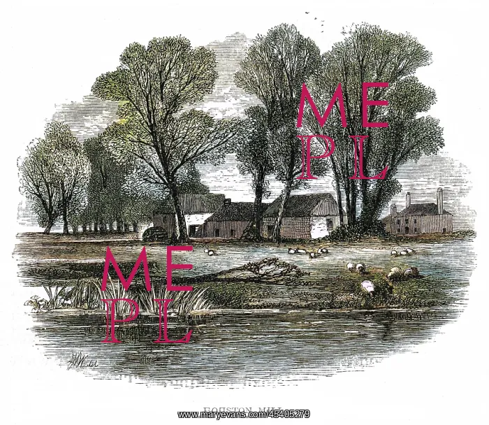 : HOME OF ANDREW MEIKLE : HOME OF ANDREW MEIKLE