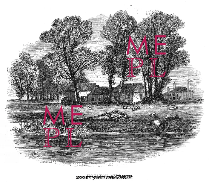 : HOME OF ANDREW MEIKLE : HOME OF ANDREW MEIKLE