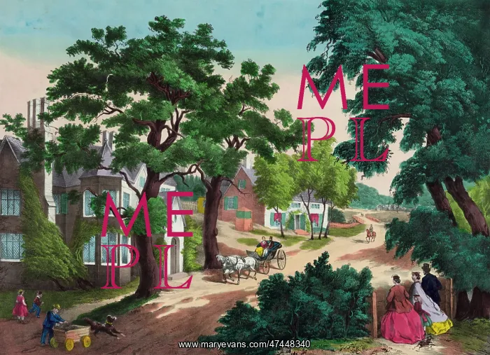  : A home in the country (summer)